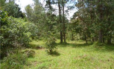 Venta Lote Independiente via Don Diego la Ceja