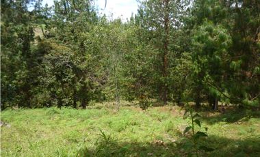 Venta Lote Independiente via Don Diego la Ceja