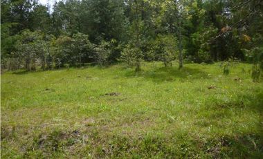 Venta Lote Independiente via Don Diego la Ceja