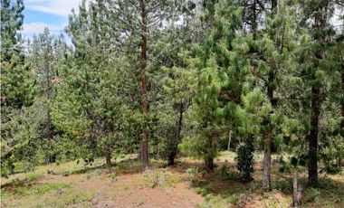 Venta Lote Independiente via Don Diego la Ceja