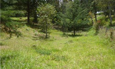 Venta Lote Independiente via Don Diego la Ceja