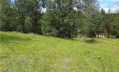 Venta Lote Independiente via Don Diego la Ceja