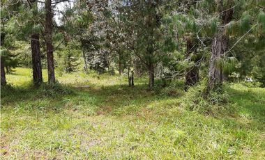 Venta Lote Independiente via Don Diego la Ceja