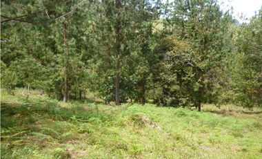 Venta Lote Independiente via Don Diego la Ceja