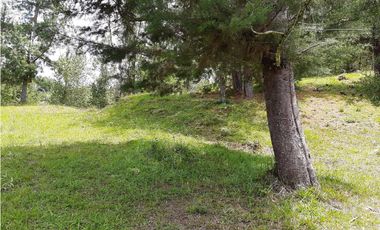 Venta Lote Independiente via Don Diego la Ceja