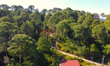 Cabaña en Mazamitla La Cofradía con vista al bosque ideal para inversión