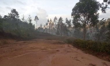 Lote en Venta El Retiro sector El Chuscal