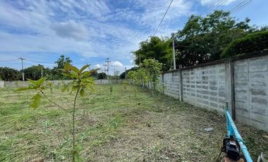 Land for sale in San Klang, Chiang Mai