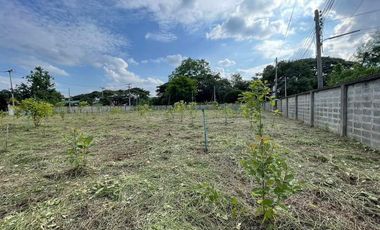 Land for sale in San Klang, Chiang Mai