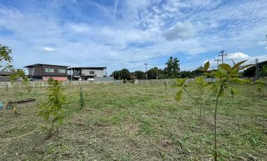 Land for sale in San Klang, Chiang Mai