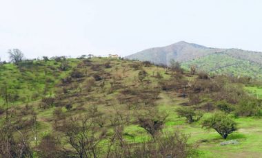 TERRENO 16.400 MT2, RUTA G60 142, MELIPILLA, RM