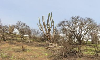 TERRENO 16.400 MT2, RUTA G60 142, MELIPILLA, RM