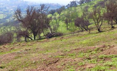 TERRENO 16.400 MT2, RUTA G60 142, MELIPILLA, RM