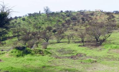 TERRENO 16.400 MT2, RUTA G60 142, MELIPILLA, RM