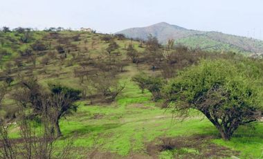 TERRENO 16.400 MT2, RUTA G60 142, MELIPILLA, RM