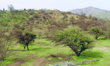 TERRENO 16.400 MT2, RUTA G60 142, MELIPILLA, RM