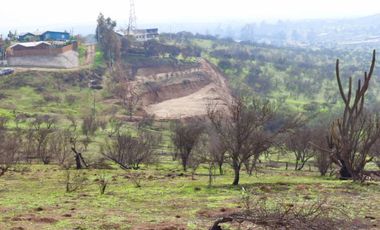 TERRENO 16.400 MT2, RUTA G60 142, MELIPILLA, RM