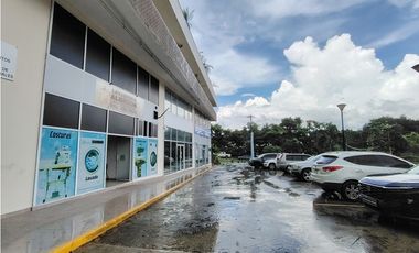 Excelente Oportunidad! Local Comercial En Venta En Albrook