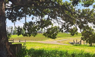 Parcela en Venta en Loncotoro condominio Loncotorolivin