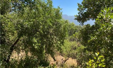 VENTA TERRENO PAINE - CONDOMINIO PIEDRA MOLINO 6.214 M2
