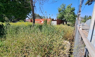 Agrícola en Arriendo en Av. Chicureo esquina El Alba 2