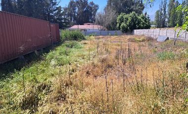 Agrícola en Arriendo en Av. Chicureo esquina El Alba 2
