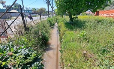 Agrícola en Arriendo en Av. Chicureo esquina El Alba 2