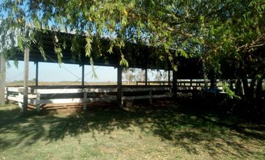 Campo - Lucio V Lopez