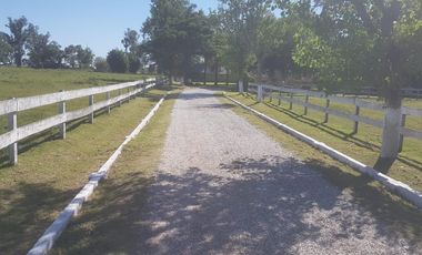 Campo - Lucio V Lopez