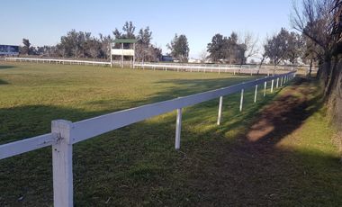 Campo - Lucio V Lopez