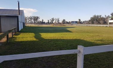 Campo - Lucio V Lopez