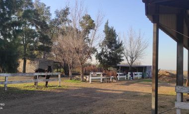 Campo - Lucio V Lopez