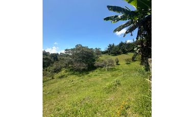 Casa Lote, en venta, sector Rionegro