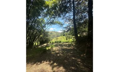 Casa Lote, en venta, sector Rionegro