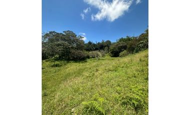 Casa Lote, en venta, sector Rionegro