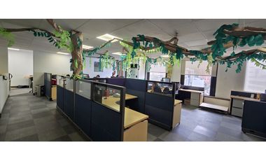 Arriendo Oficina 1.367 M2 Calle 100