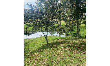 Casa en Arriendo en Rionegro vía La Ceja