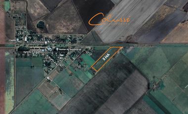 VENTA Campo 5 ha - Rojas-  Villa Manuel Pomar- Ideal cultivo de cereales-