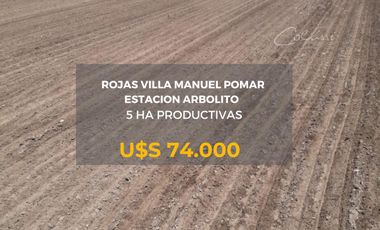 VENTA Campo 5 ha - Rojas-  Villa Manuel Pomar- Ideal cultivo de cereales-