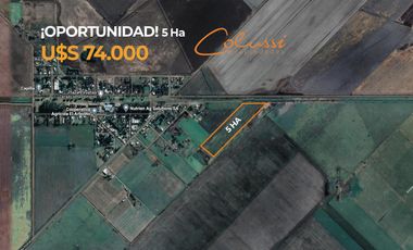 VENTA Campo 5 ha - Rojas-  Villa Manuel Pomar- Ideal cultivo de cereales-