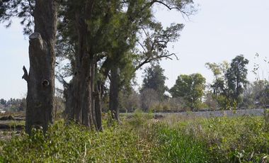 VENTA -LOTE BARRIO PARQUE LAS CASUARINAS- DEL VISO-