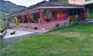 Vendo Finca via Marsella - Chinchina