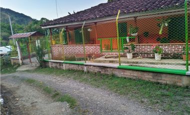 Vendo Finca via Marsella - Chinchina