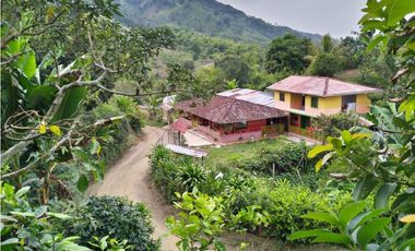 Vendo Finca via Marsella - Chinchina