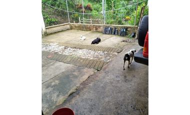 Vendo Finca via Marsella - Chinchina