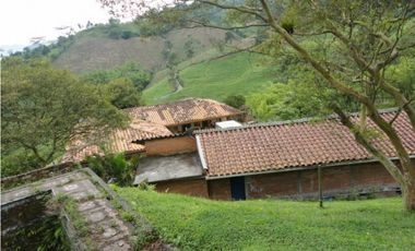 Se Vende Finca Vía Agua Azul