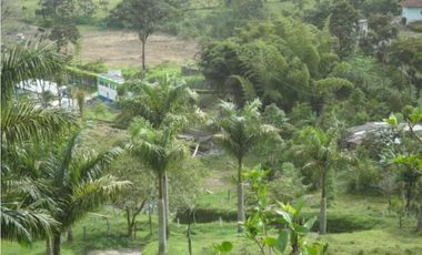 Se Vende Finca Vía Agua Azul