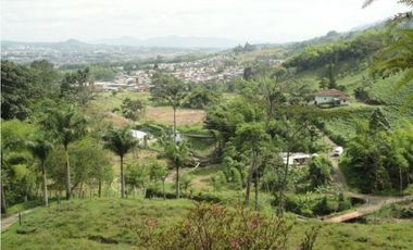 Se Vende Finca Vía Agua Azul