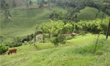 Se Vende Finca Vía Agua Azul