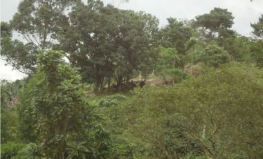 Se Vende Finca Vía Agua Azul
